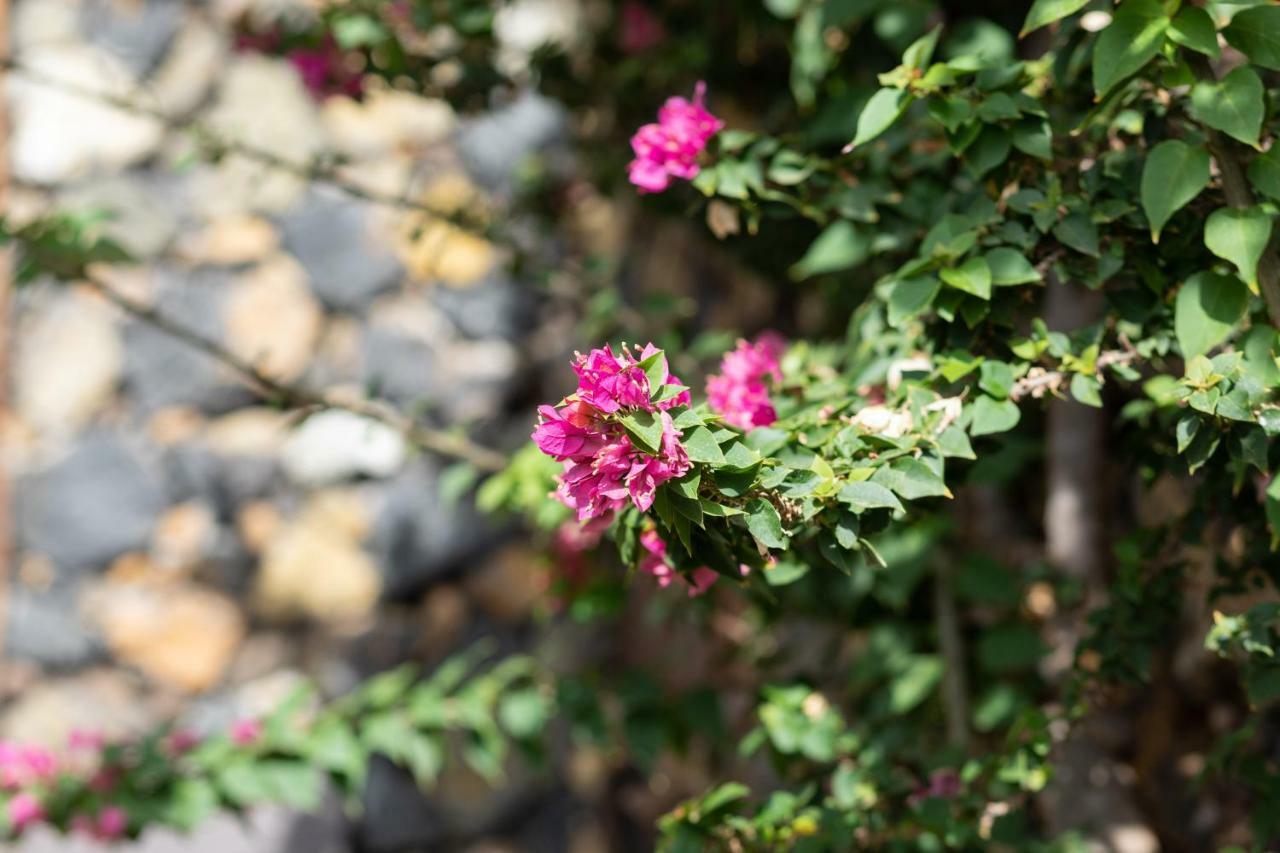 Charming Rustic House El Pinar & Wifi Guest House ภายนอก รูปภาพ